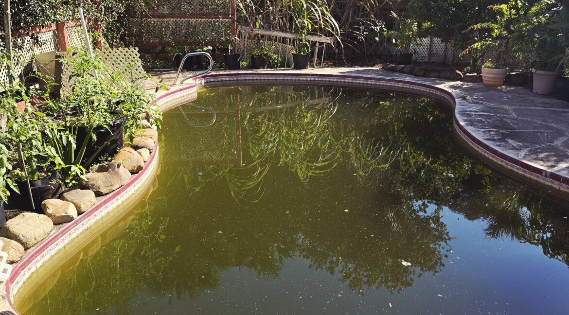 7e72e17d-09bb-4924-bc20-fe2012879729-copied-media~2