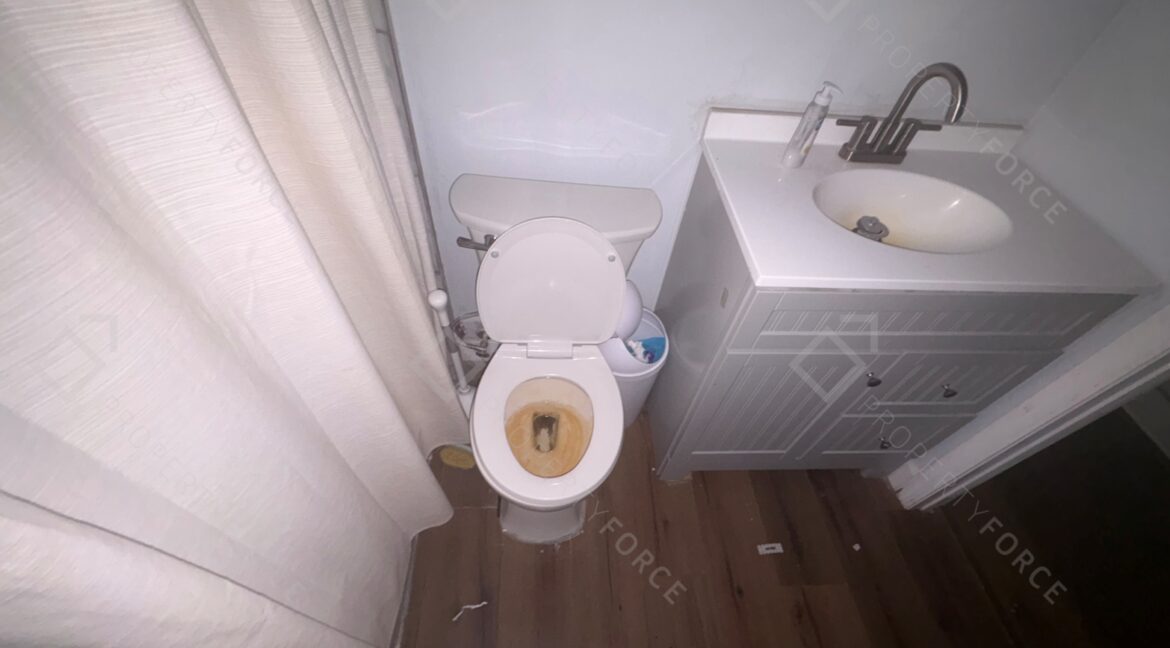 Photo Nov 26 2025, 7 32 45 PM