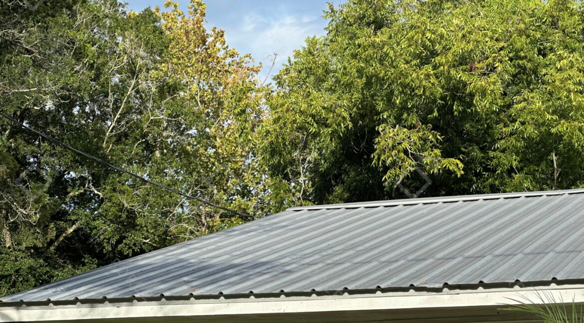 Photo Sep 30 2025, 5 26 59 PM