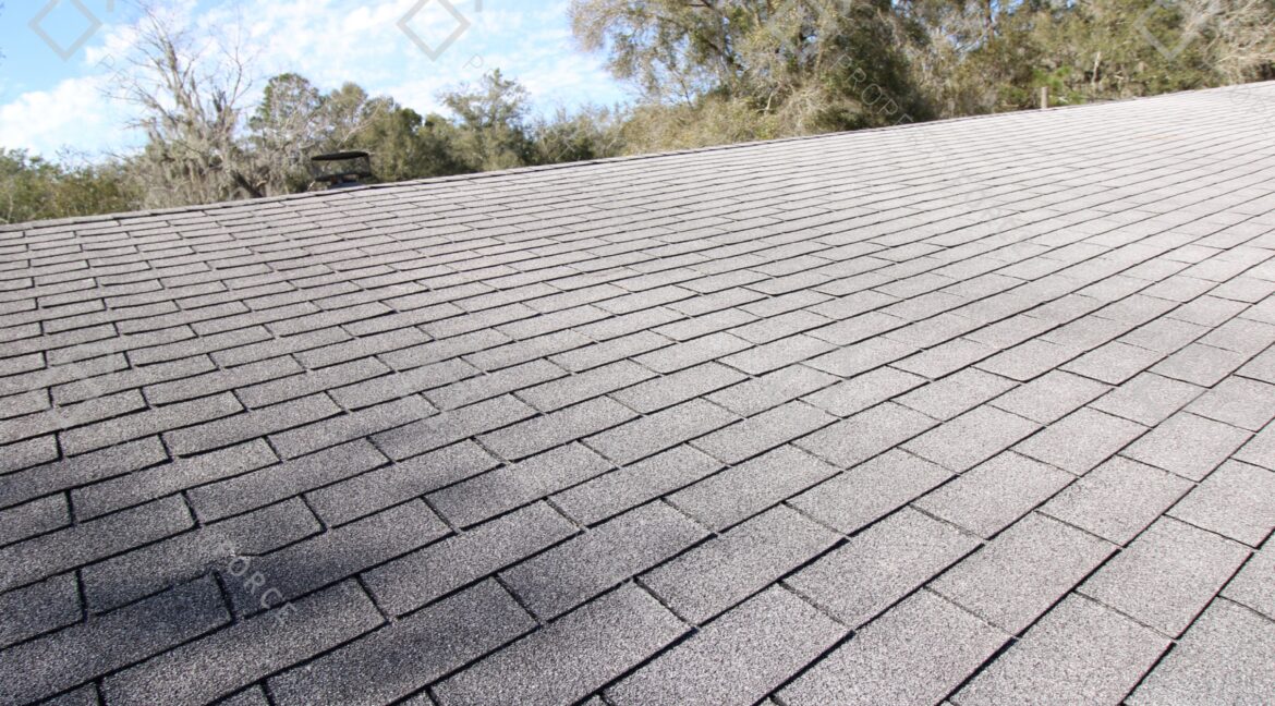 15840 SW 100th Ave, Dunnellon, FL 34432 (67)