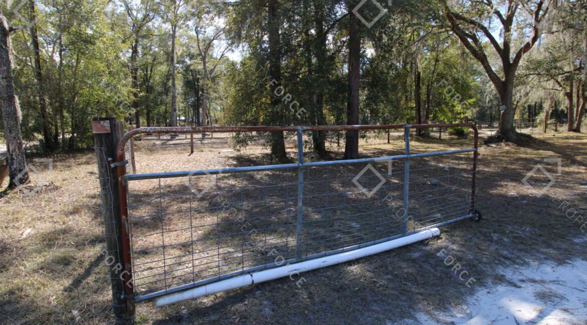 15840 SW 100th Ave, Dunnellon, FL 34432 (71)