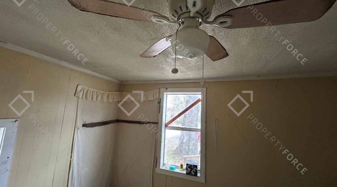 165 Malaga St NE Pelham GA 31779 (31)