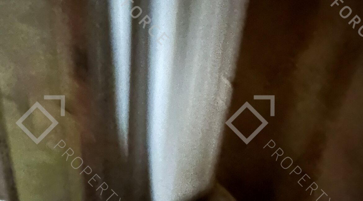 165 Malaga St NE Pelham GA 31779 (38)