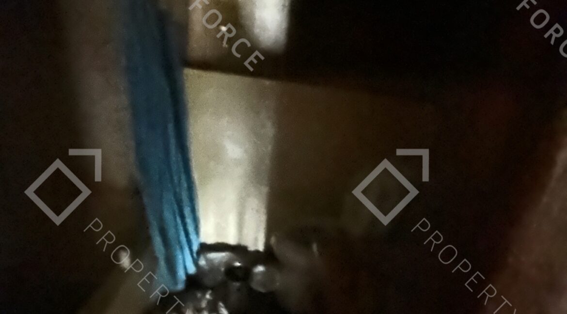 165 Malaga St NE Pelham GA 31779 (39)