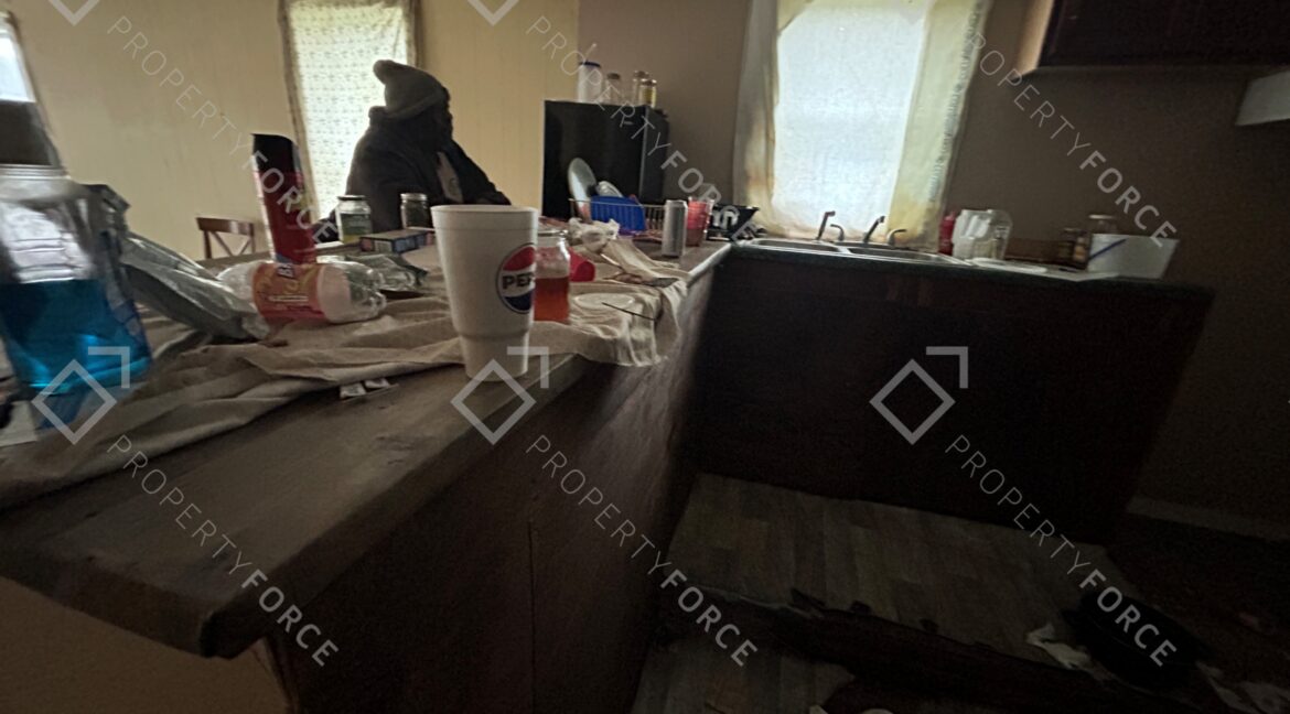 165 Malaga St NE Pelham GA 31779 (52)