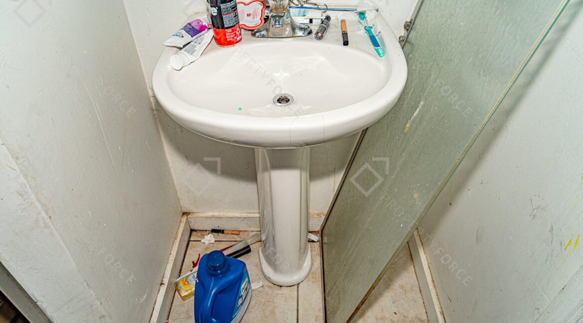 20260117-_DSC0206