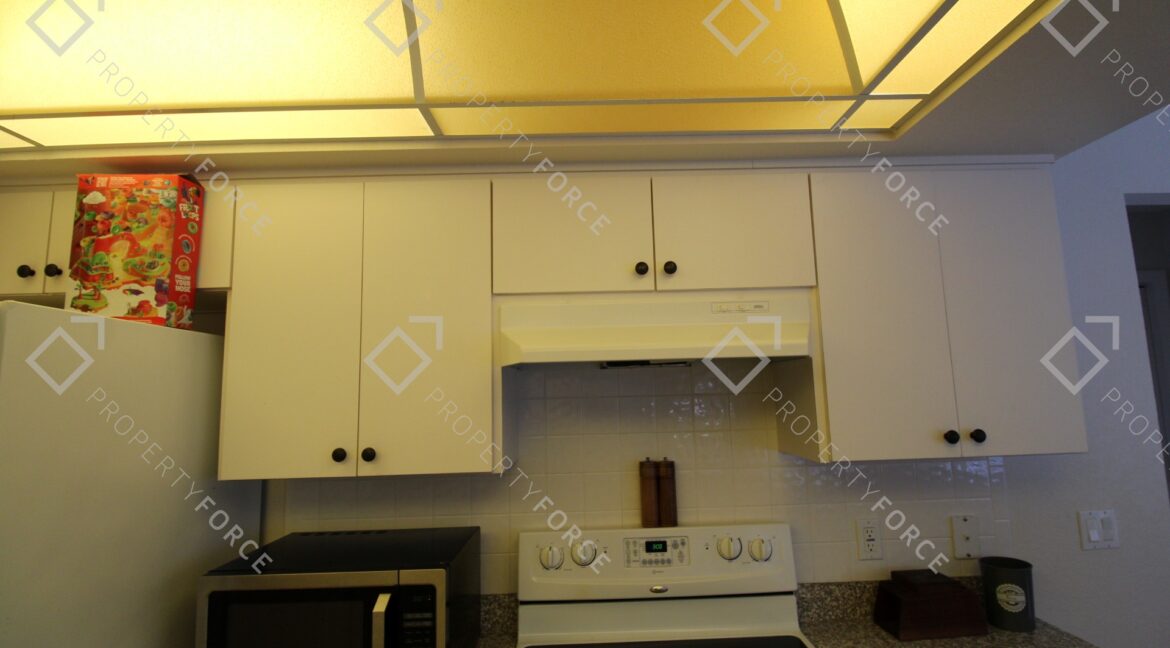 4563 Bayridge Ct. Spring Hill FL 34606 (31)