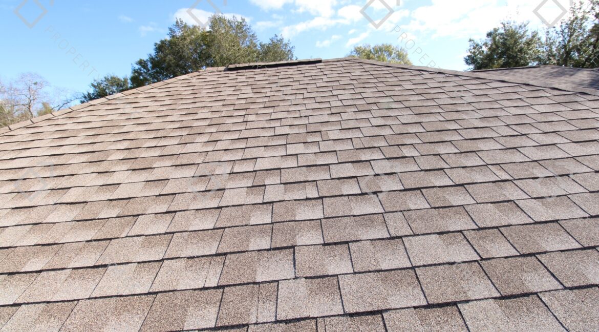 4563 Bayridge Ct. Spring Hill FL 34606 (71)