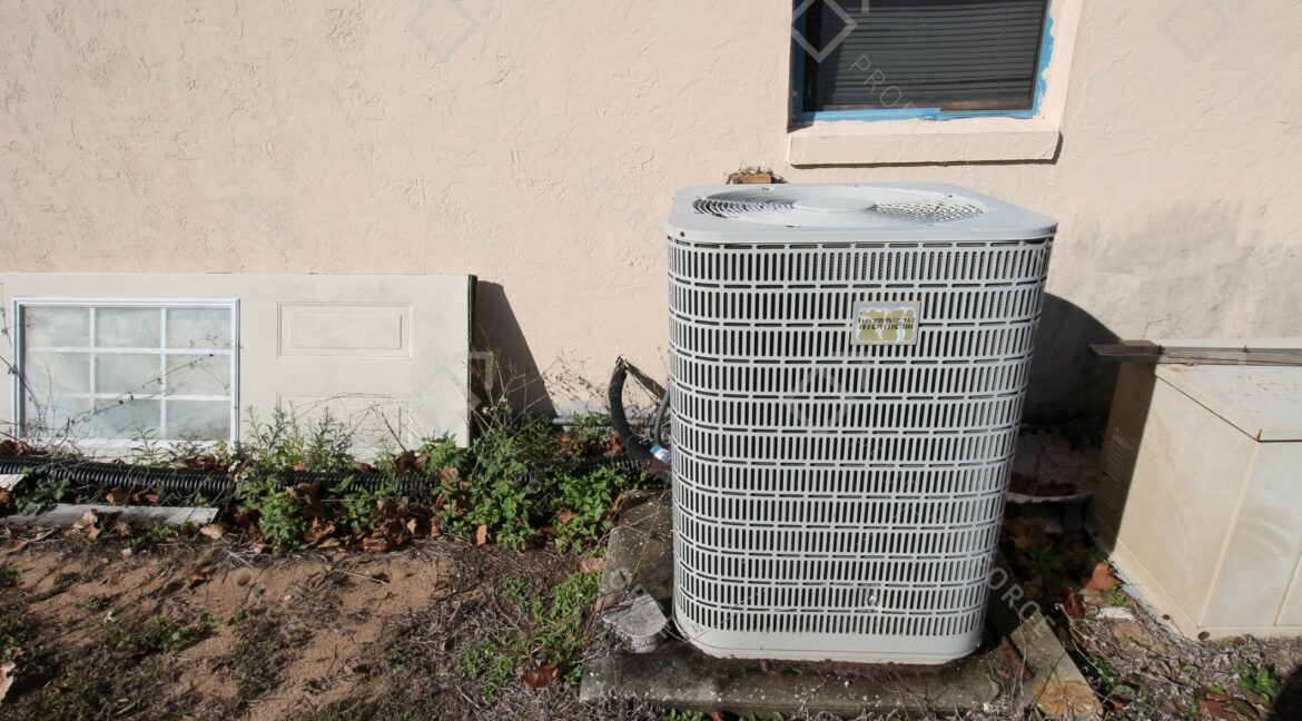 5115 Mockingbird Ln Fruitland Park, FL 34731 (18)