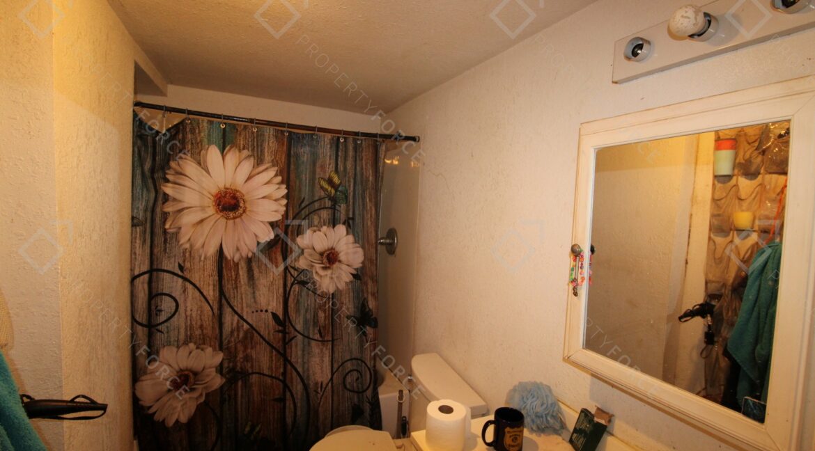 9260 Lake Dr, New Port Richey, FL 34654 (47)