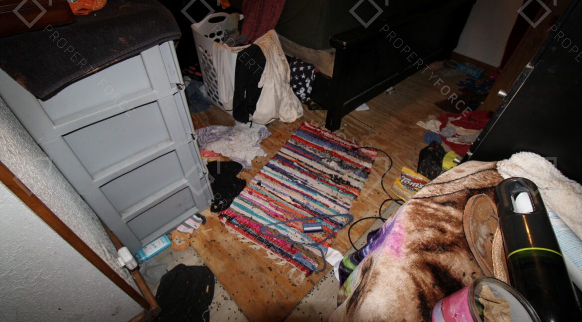 9260 Lake Dr, New Port Richey, FL 34654 (52)