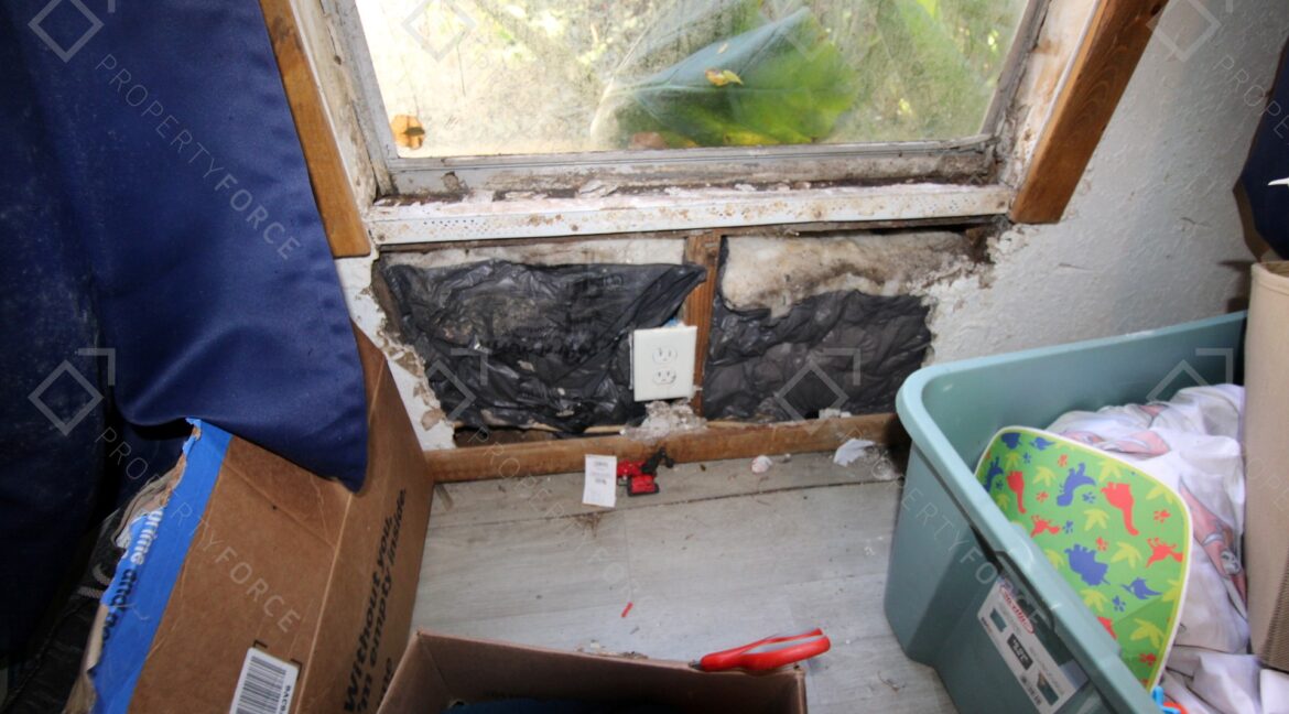 9260 Lake Dr, New Port Richey, FL 34654 (57)