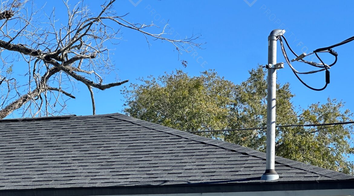 Photo Jan 01 2026, 11 51 37 AM