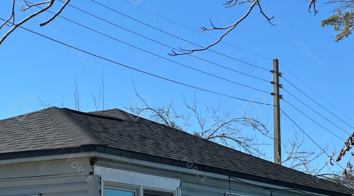 Photo Jan 01 2026, 11 54 00 AM