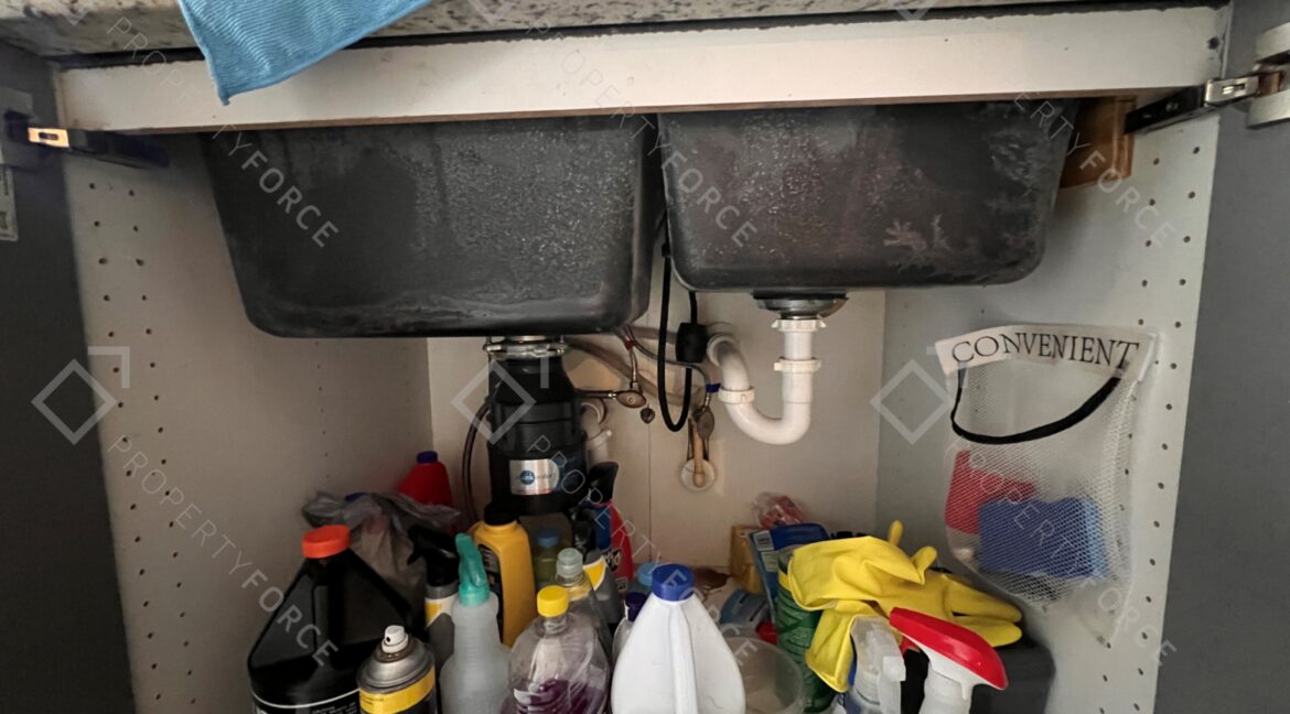 Photo Jan 21 2026, 11 45 00