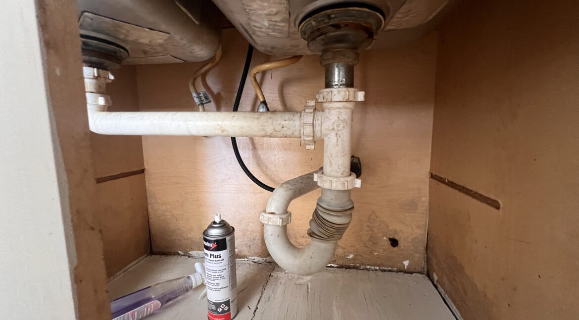 Photo Feb 06 2026, 12 27 56