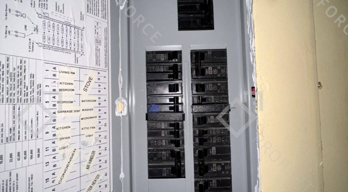 Photo Feb 09 2026, 10 21 08