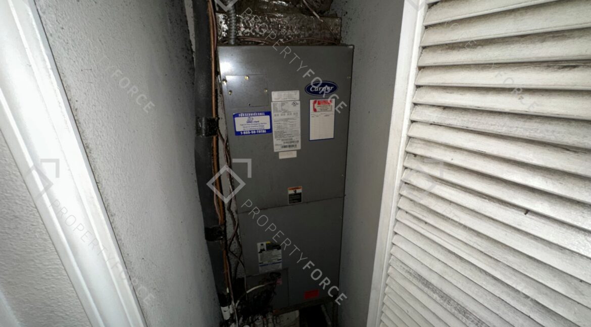 Photo Feb 21 2026, 12 24 33 PM