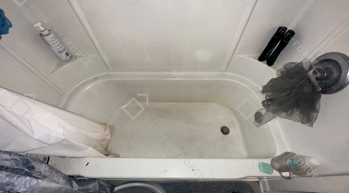 Photo Feb 21 2026, 12 25 10 PM