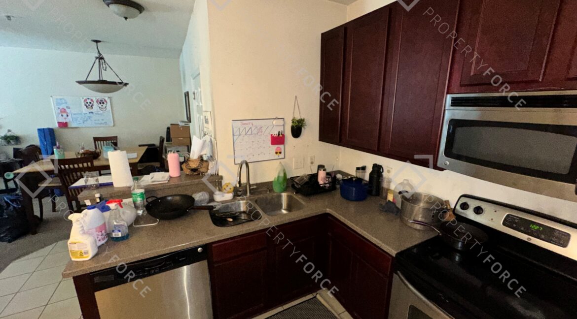 Photo Feb 21 2026, 12 27 27 PM