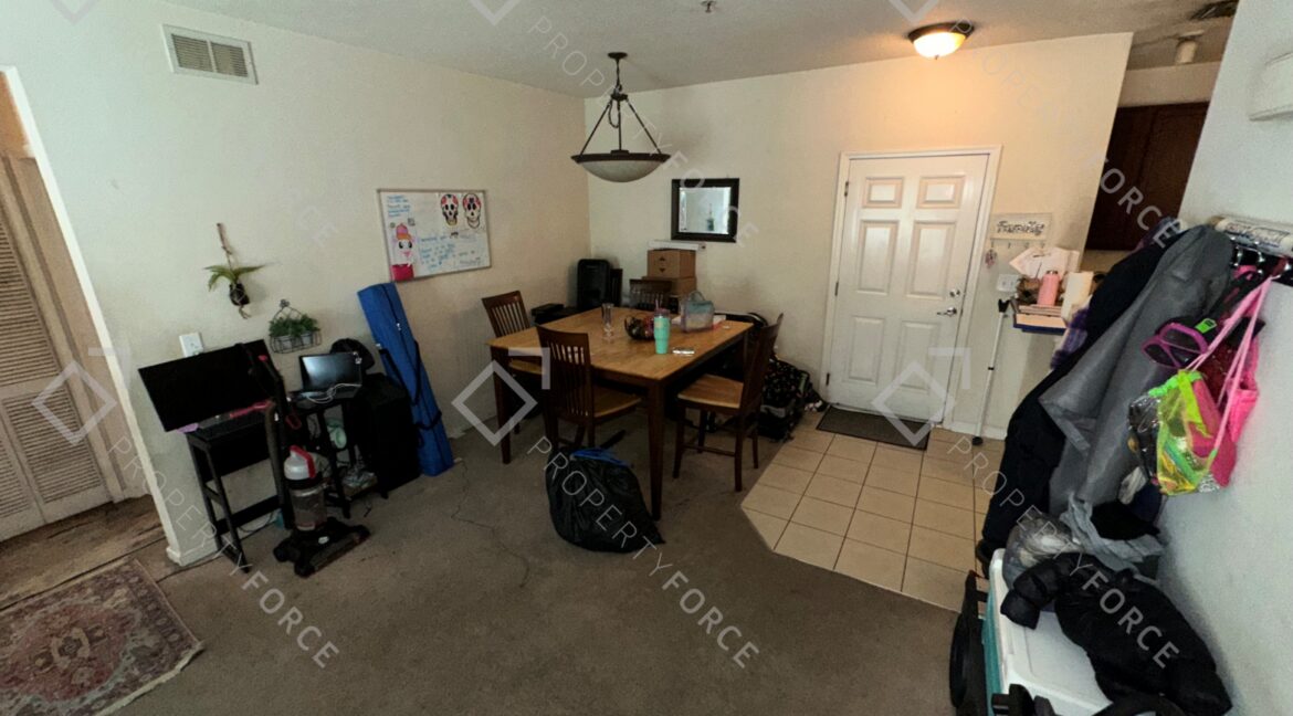 Photo Feb 21 2026, 12 29 11 PM