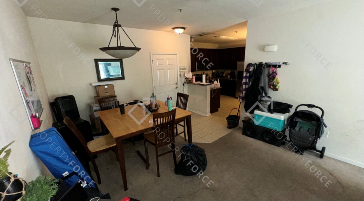 Photo Feb 21 2026, 12 29 18 PM