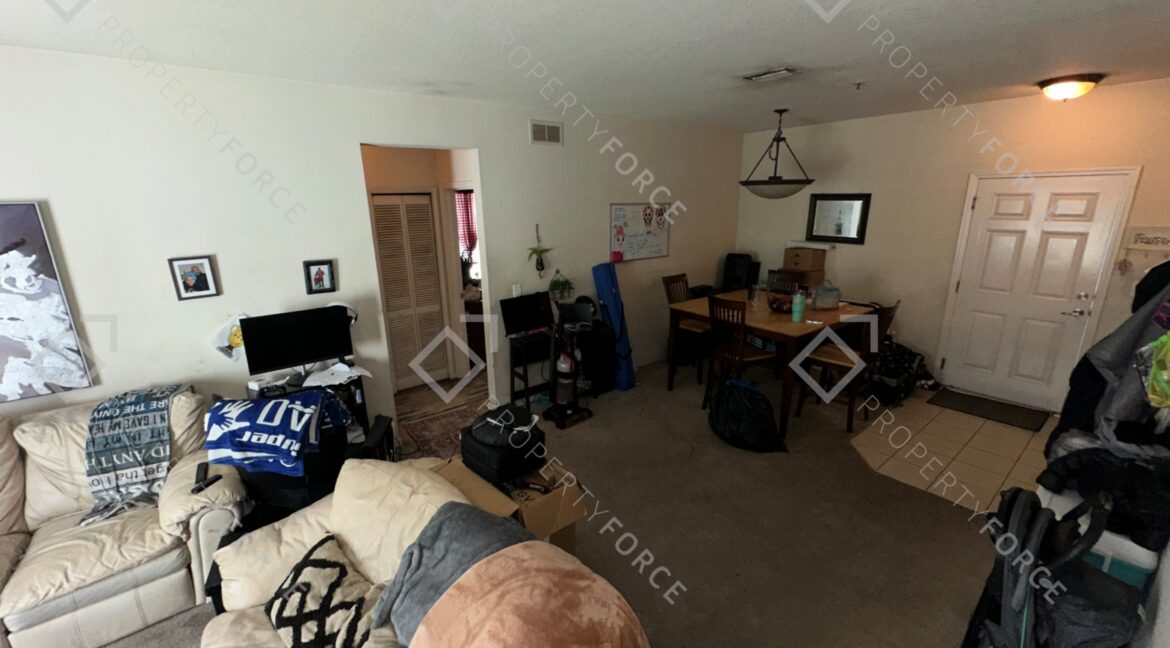 Photo Feb 21 2026, 12 33 13 PM