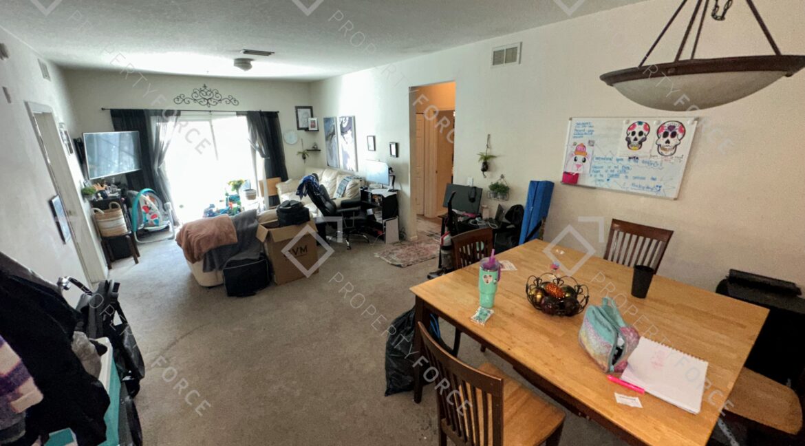 Photo Feb 21 2026, 12 33 48 PM