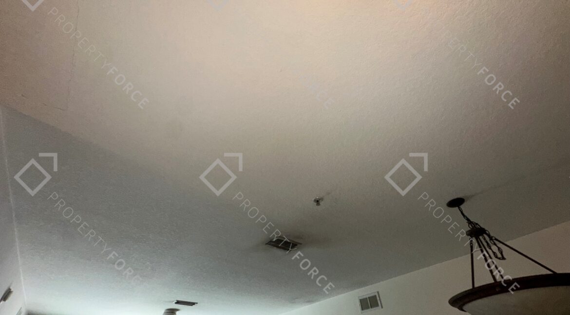 Photo Feb 21 2026, 12 33 50 PM