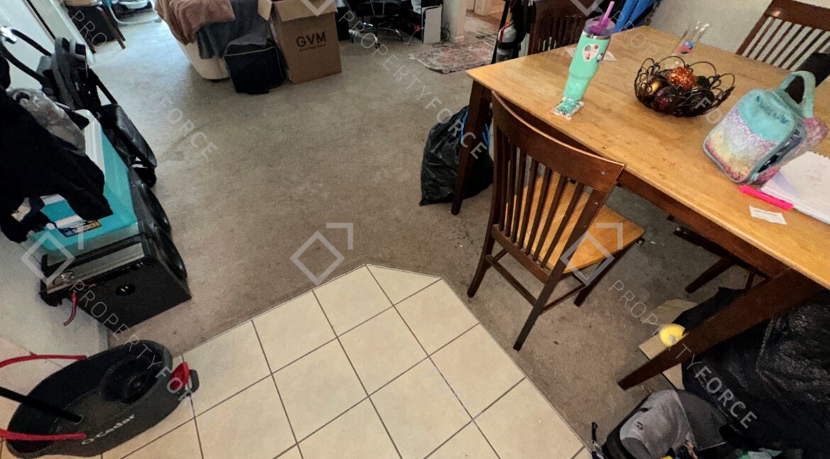 Photo Feb 21 2026, 12 33 52 PM