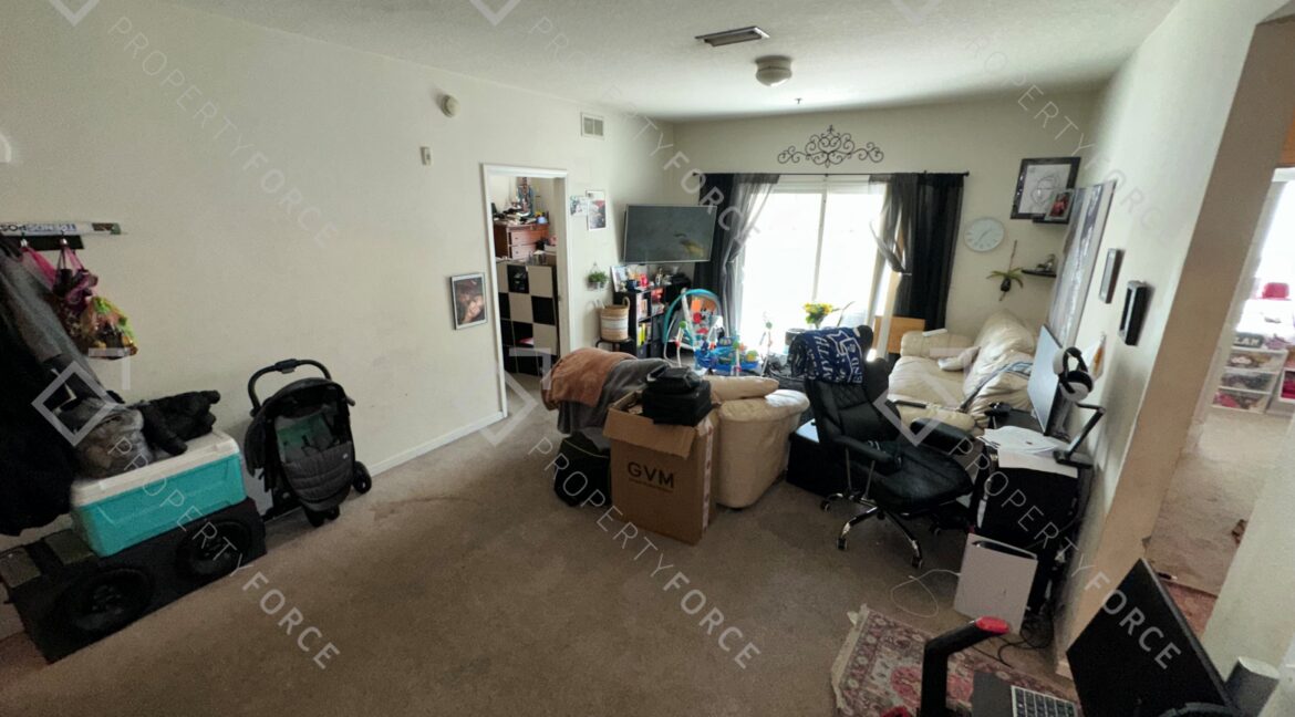 Photo Feb 21 2026, 12 34 04 PM