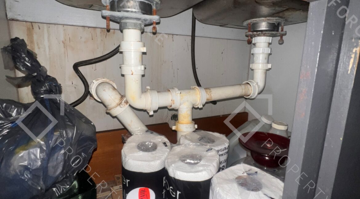 Photo Feb 24 2026, 10 05 31