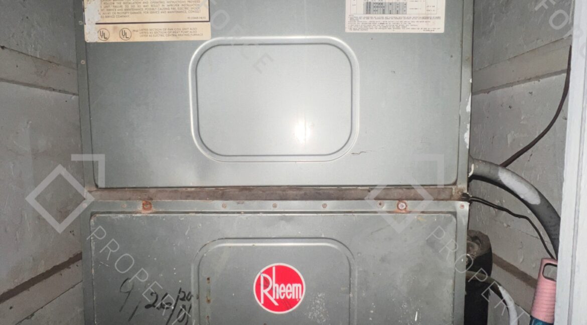 Photo Feb 24 2026, 10 05 58