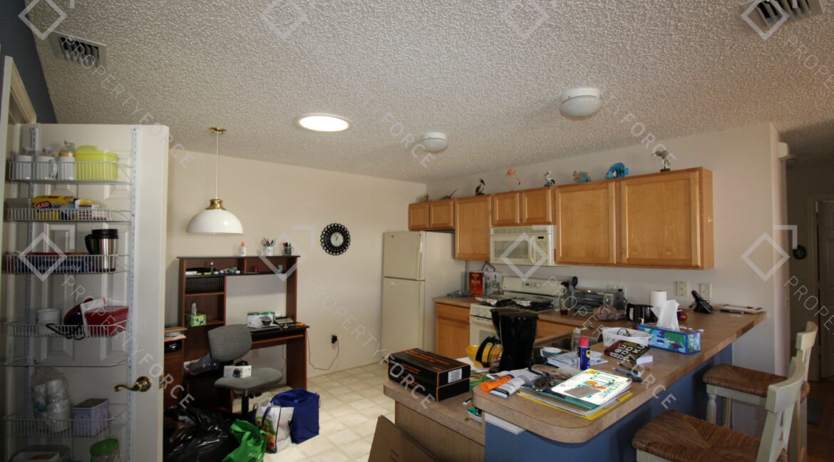 17382 SE 93rd Retford Ter The Villages, FL 32162 (19)