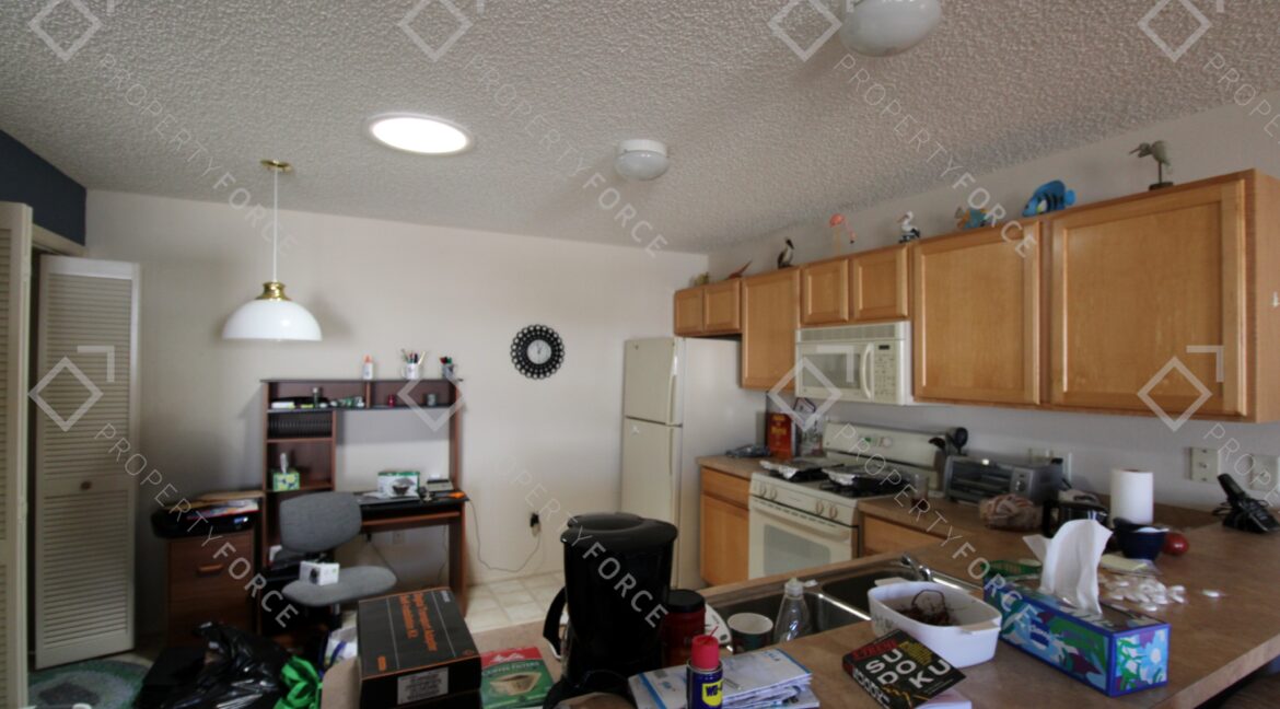 17382 SE 93rd Retford Ter The Villages, FL 32162 (25)