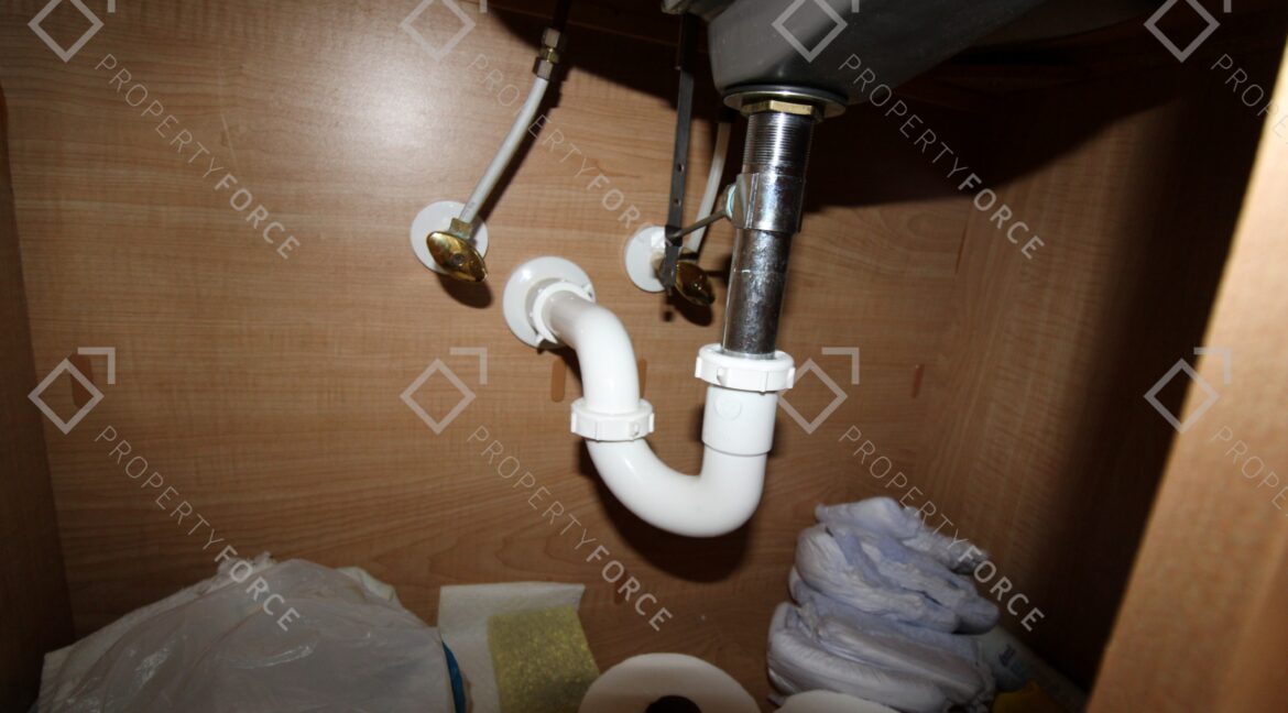 17382 SE 93rd Retford Ter The Villages, FL 32162 (28)