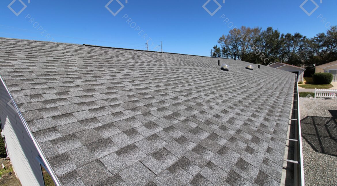 17382 SE 93rd Retford Ter The Villages, FL 32162 (54)