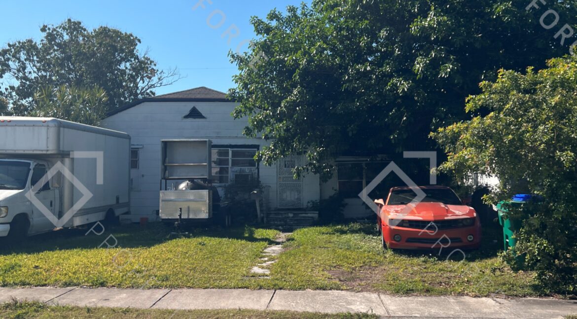 Photo Mar 24 2026, 10 44 08 (1)