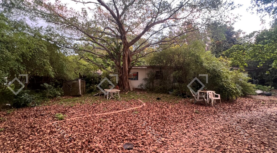 Photo Mar 26 2026, 07 32 29