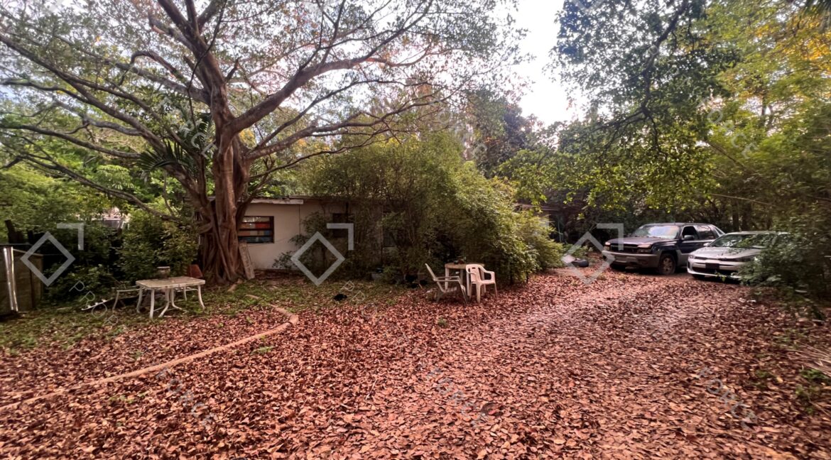 Photo Mar 26 2026, 07 32 30