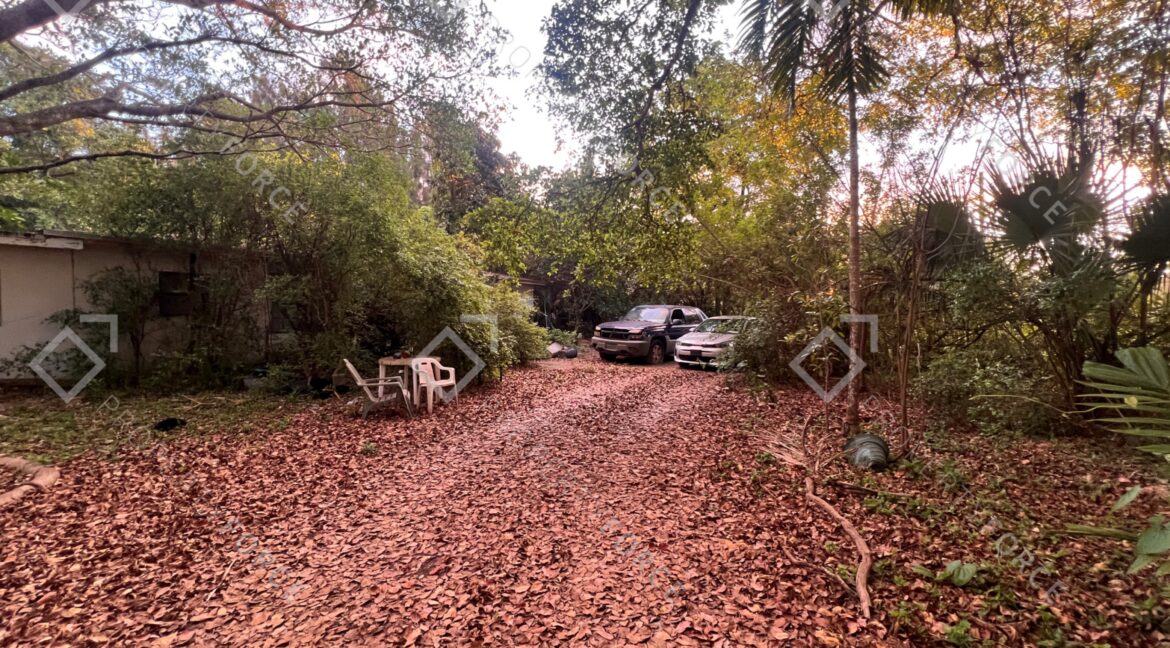 Photo Mar 26 2026, 07 32 32