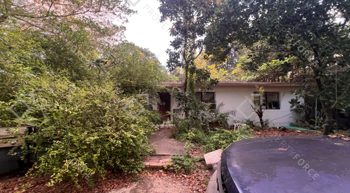 Photo Mar 26 2026, 07 33 12