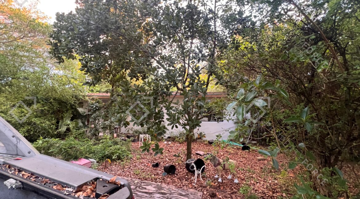 Photo Mar 26 2026, 07 33 23