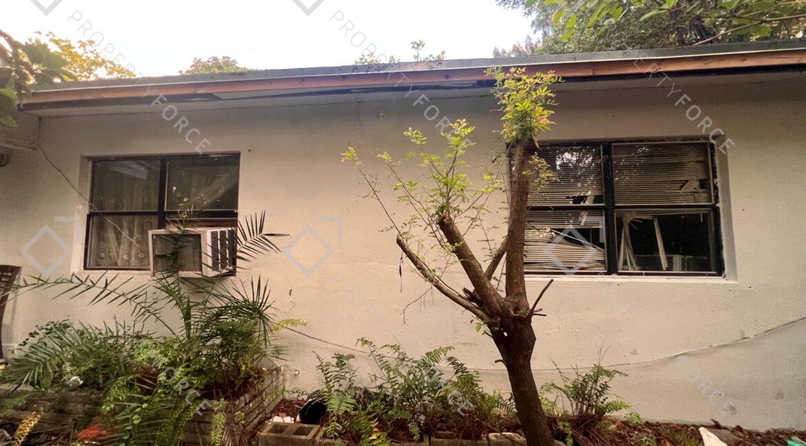 Photo Mar 26 2026, 07 36 50