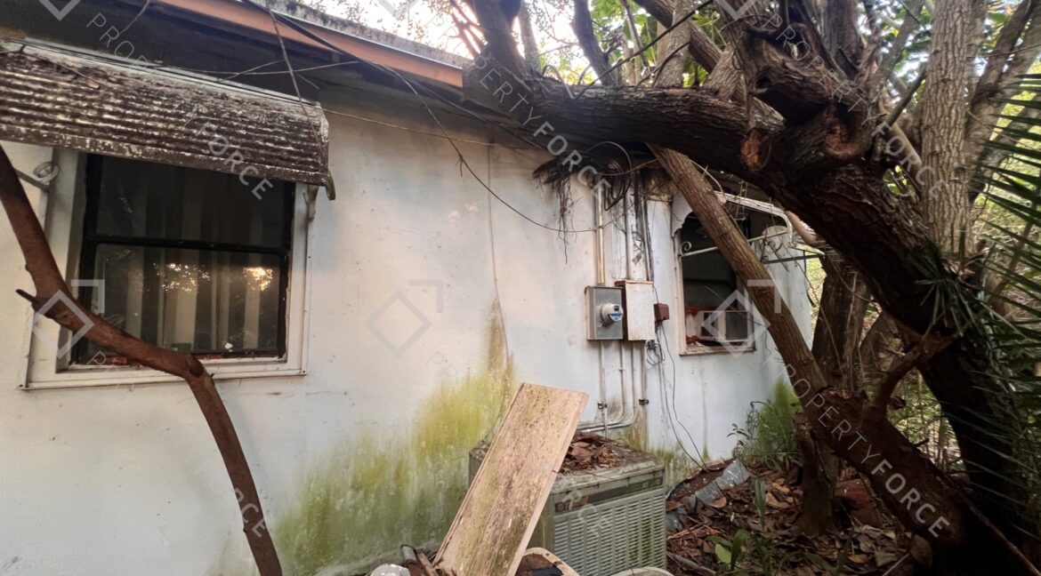 Photo Mar 26 2026, 07 37 30