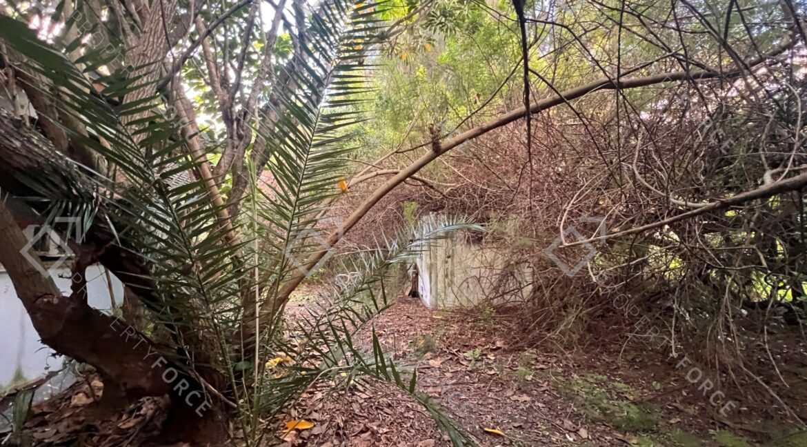 Photo Mar 26 2026, 07 37 34