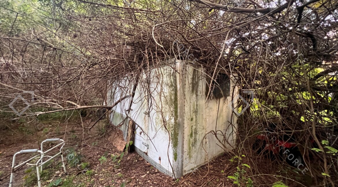 Photo Mar 26 2026, 07 37 44