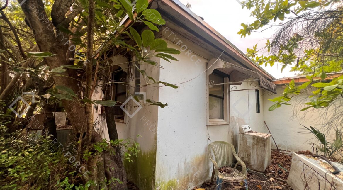 Photo Mar 26 2026, 07 37 50