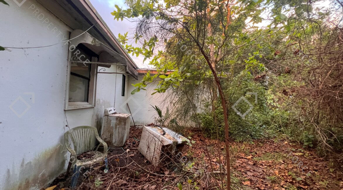 Photo Mar 26 2026, 07 37 52