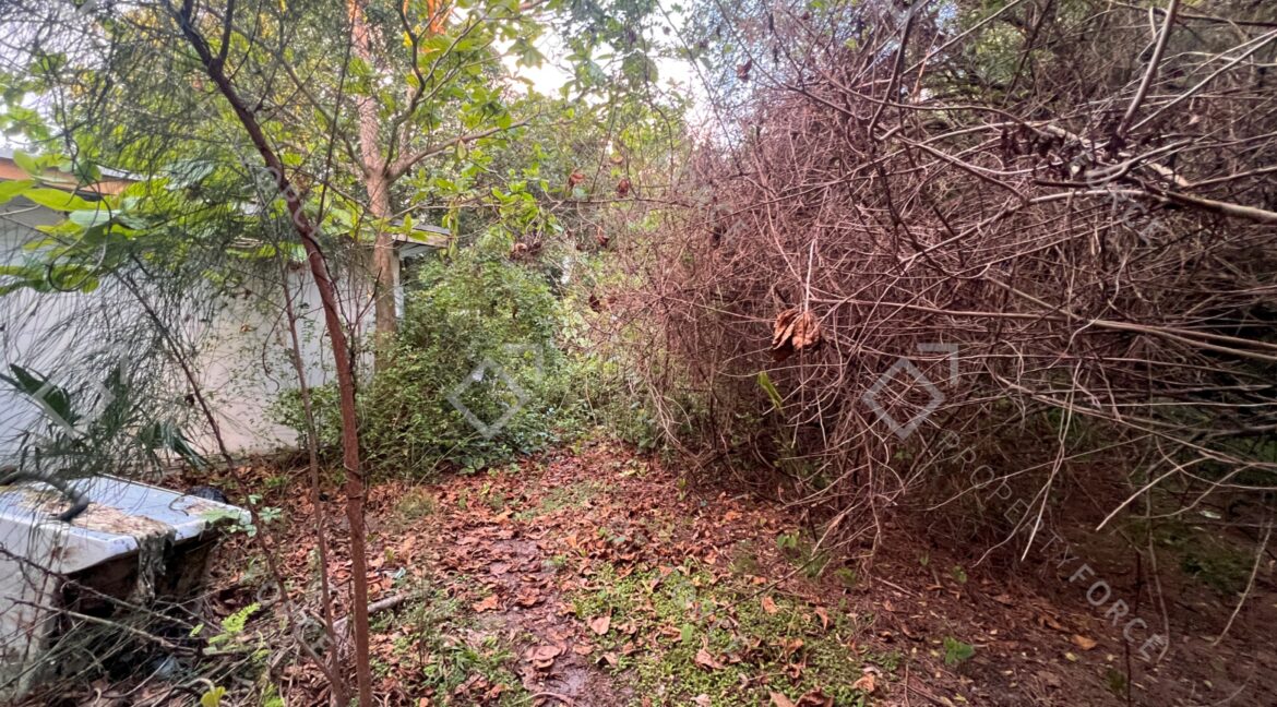 Photo Mar 26 2026, 07 37 54